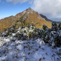杉山から