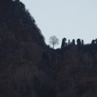 杉山から見た鉢の峠