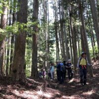 井川側十番観音跡から九番観音跡にかけての下り