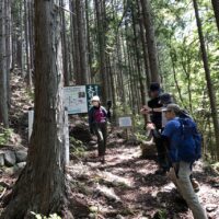 井川側の大日古道案内板