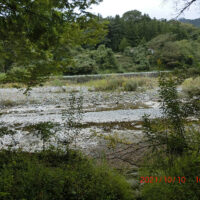 荒川の「八幡渡し」跡：又は「栃の木の渡し」、白久と贄川宿の渡船場があった。