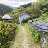 一本杉庵から下って左右内集落に入ります。