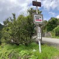 県道43号線から左へ下る道