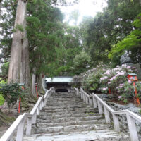 焼山寺山門への階段