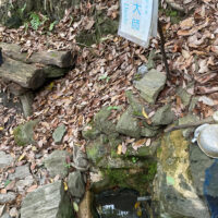 水大師