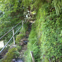 　「かも道」への入口