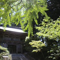 太龍寺山門