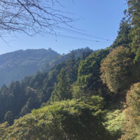 山頂駅付近からみた太龍寺山