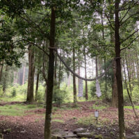 本殿の左側にある以前の登り口