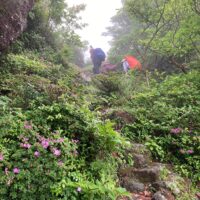 二子石の手前から急な登りとなる