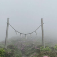 5月下旬には、ミヤマキリシマの中を頂上へ