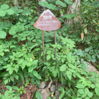 馬返しから登り始めてすぐのところにある改め所