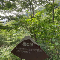 頂上に向かって左手前方に崖が見える