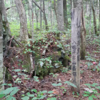 古上坊石標と木の標柱