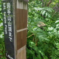 五合目付近の標柱