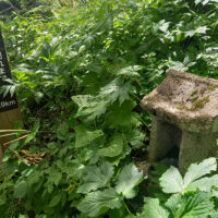 五合目付近の祠