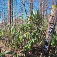この辺りが最高地点