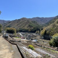 芦川の山沿い