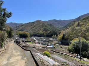 芦川の山沿い