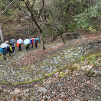 2026年4月の再訪時の写真：最初の調査時（2023年）よりも掘り出された石畳の長さが上の方へ5倍くらい伸びていた。