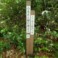 小桧沢にある道標。千年クロベへと続く道。