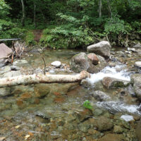 大地沢（湯浜温泉側から歩くと４番目にある大きな沢。下流に「大地滝」という滝がある。）