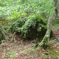 聖の座石（昔、旅の行者が登拝の途中で休んだ場かと思われる。）