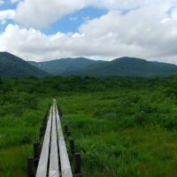 世界谷地第2湿原（周囲は低潅木が生い茂っている。）