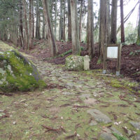 参道の石畳：平泉寺の僧が九頭竜川から集め、運んできたとされる石を敷き詰めた石畳。精進坂の手前500ｍの平坦地まで続きます。左の石が牛岩、右が馬岩で、丑の刻参りの時に岩が牛馬に変わって邪魔をするそうです。⇒立ち寄りスポット