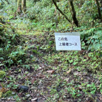 祓川から伏拝への登り口にはロープが張られ、上級者コースと表示されています。
