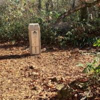 小原峠：峠の上は十字路です。そのまま東へ進めば越前禅定道で、峠を下って三ツ谷、市ノ瀬へ向かいます。北は大長山、南は赤兎山への登山道です。