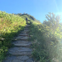 別当坂：慶松平から続く坂道です。途中に別当出合から登ってくる観光新道と出会う分岐があります。