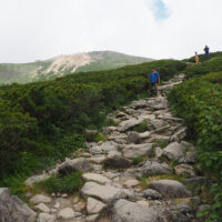 五葉坂：越前室(現室堂)への最後の登りです。両側に五葉松が生えている急登です。