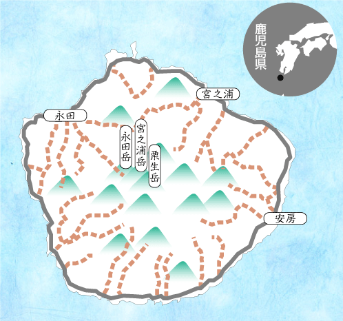 屋久島 岳参り歩道