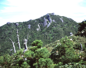 御岳・黒味岳