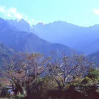 永田集落から永田岳