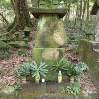 現在の石竿