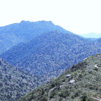 石塚山山塊・左；石塚山、右；太忠岳