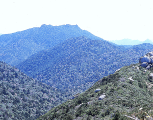 石塚山山塊・左；石塚山、右；太忠岳