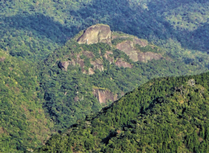 中島権現岳