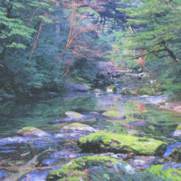 淀川の清流