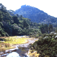 小花之江河から高盤岳