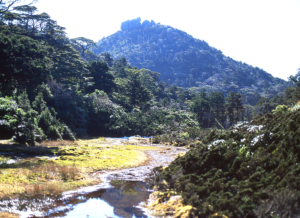 小花之江河から高盤岳