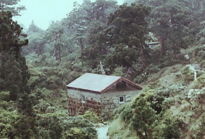 永田歩道・鹿之沢小屋