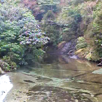 大川・七ツ渡シ