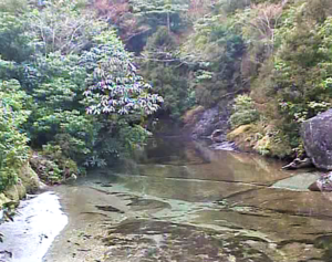 大川・七ツ渡シ