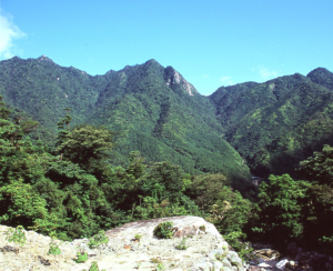 左；一湊岳、中央；志戸子岳