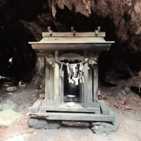 ウイルソン株内・木魂神社