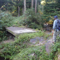 沢分岐付近の橋を渡る。小峠へは橋を渡らず右手の道を行く