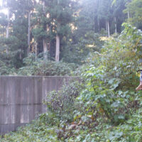 尾根に取り付くまでに砂防堰堤が2基